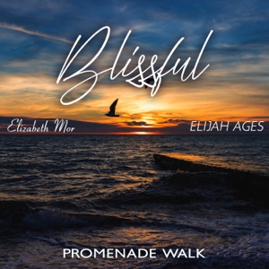 Blissful Promenade Walk