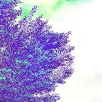 Feelin' it - Single - Br!ano