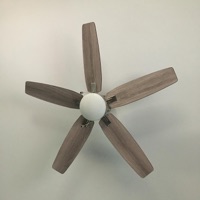 Euphoria - Single - Oculo