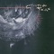 Ivo - Cocteau Twins lyrics
