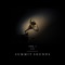 All I Really Want  [feat. Nikki Mathis] - Summit Sounds lyrics