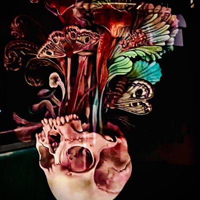 Dont Wanna Go Back - Single