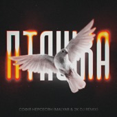 Пташка (MalYar, 2K DJ Remix) artwork