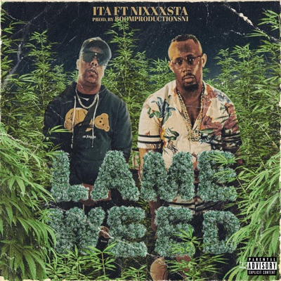 Lame weed (feat. Nixxxsta) - Single