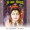 Om Namah Shivay, Vol. 1