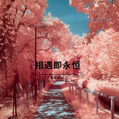精彩威Sir - 想你的那一夜