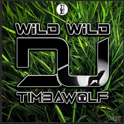 Wild Wild - Single
