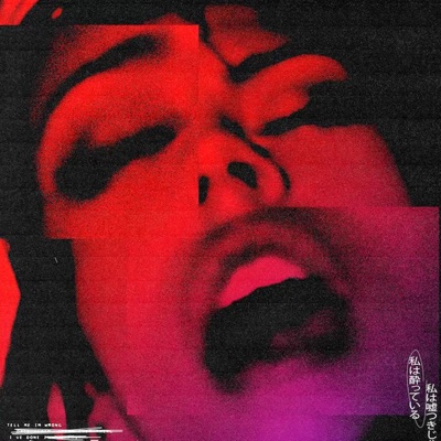 The Viper Room (feat. Hunnidkbaby) - Single