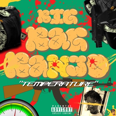 Temperature - Single