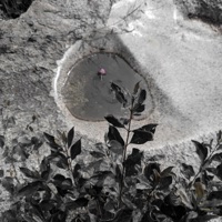 perfect (feat. Tim Lake) - Single - Murrumur