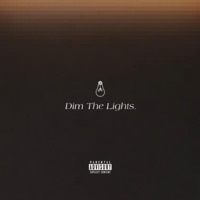 Dim the Lights - Single - LIRA777
