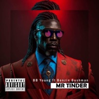 Mr Tinder (feat. Benzin Bushman) - Single - BB Young