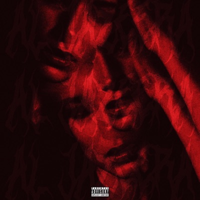 Al Jazeera (feat. 17) - EP