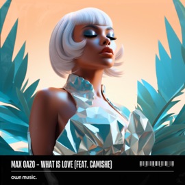 What Is Love (feat. Camishe) Max Oazo