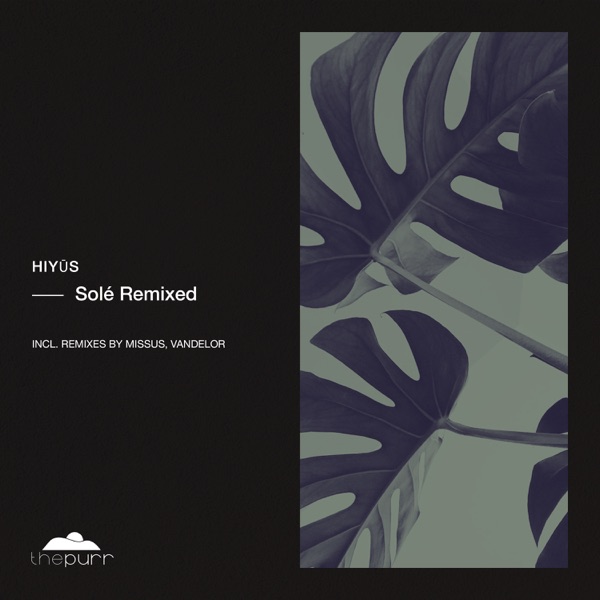 Solé Remixed - Single