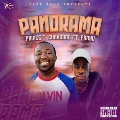 Panorama (feat. Fanyu) - Single