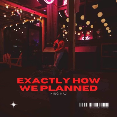 Exactly How We Planned - EP