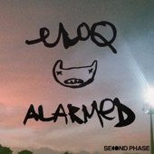 Alarmed artwork