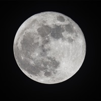 Moon - Single - Prani