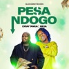 Pesa Ndogo - Single