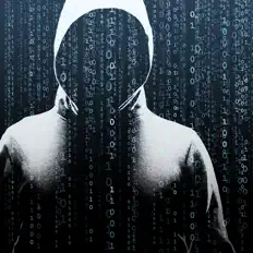 Movmentを聴いたり、ミュージックビデオを鑑賞したり、経歴やツアー日程などを確認したりしましょう！