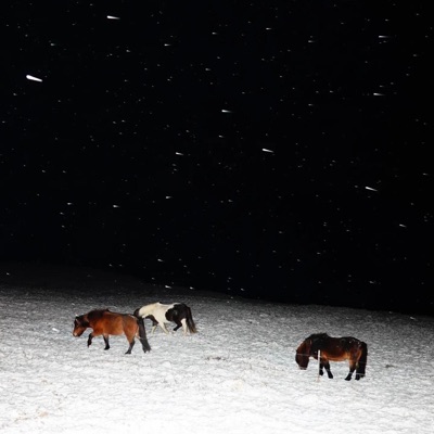 Les cristaux - Single