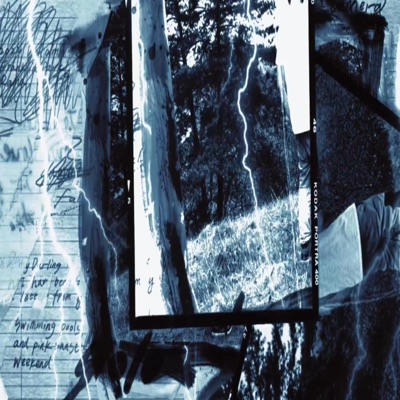 Rose (feat. fryday) - Single