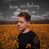 How I'm Feeling artwork