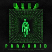 Paranoid artwork