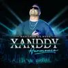 Xanddy Harmonia - Toda Perigosa