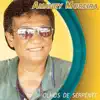 Amaury Moreira - Sabor Rosé