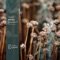 Ancient Manifold - Audio Units lyrics