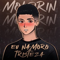 Eu Namoro a Tristeza - Single - Moldrin
