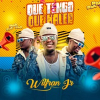 Que Tengo Que Hacer - Single - Wilfran Jr