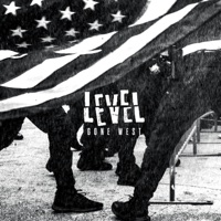 Album cover for Dead Skin by Level