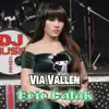 Via Vallen - Bojo Galak