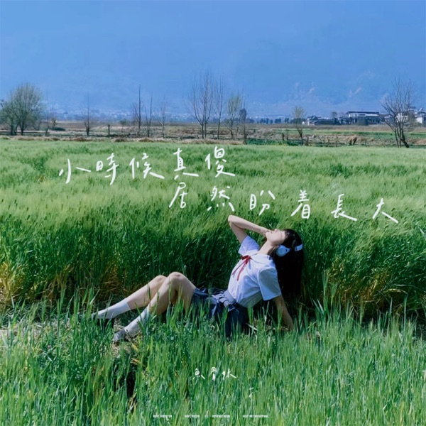 小时候真傻居然盼着长大 - Single