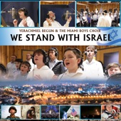 We Stand With Israel artwork