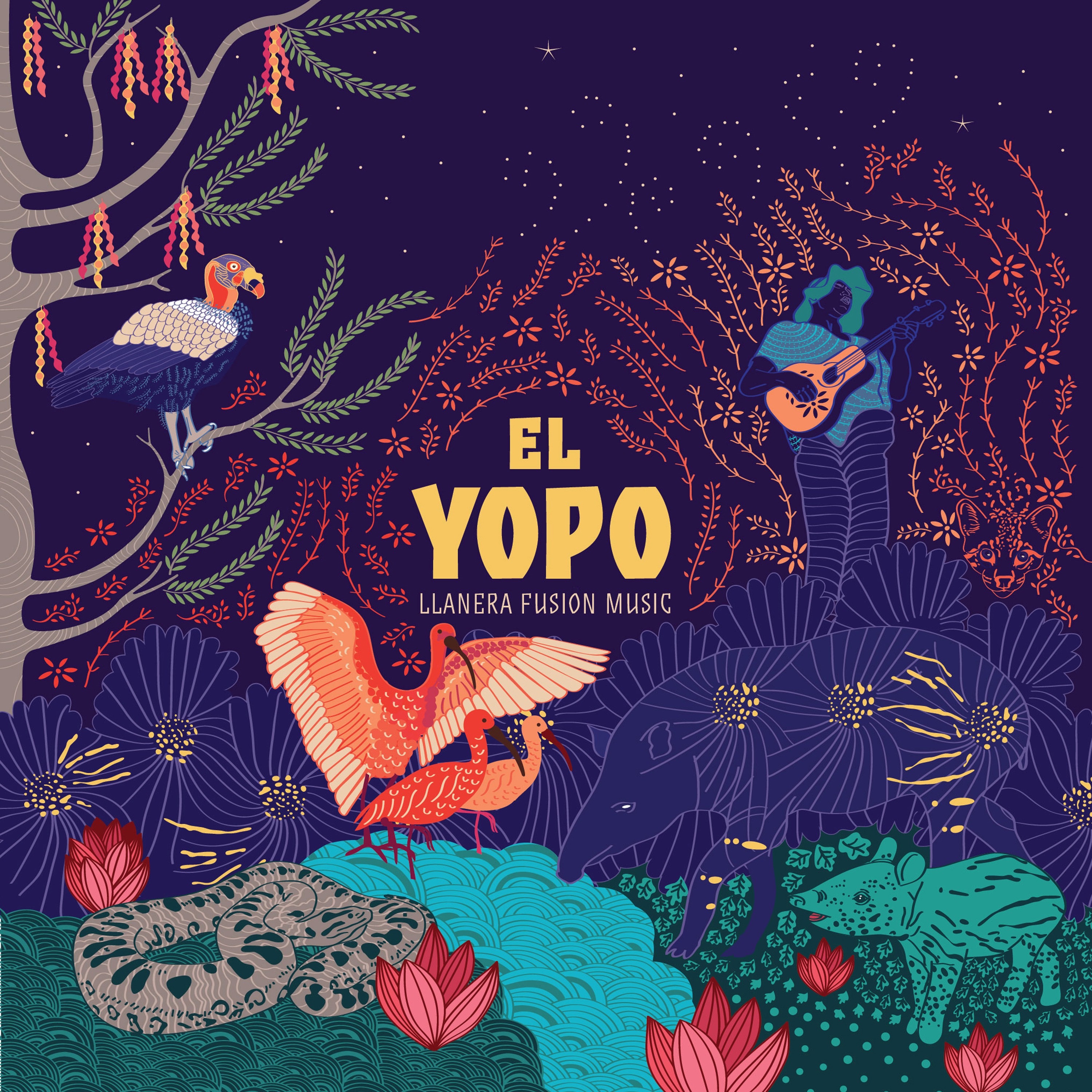 Llanera Fusion Music