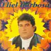 Eliel Barbosa - Por Favor Agora Não