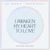 Lee Harris & Davor Bozic - I Awaken My Heart To Love artwork