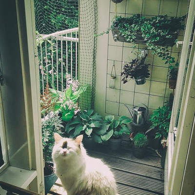 Beats For My Cat - EP