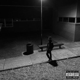 Whatever You Want (feat. Tara Angel) Cwil