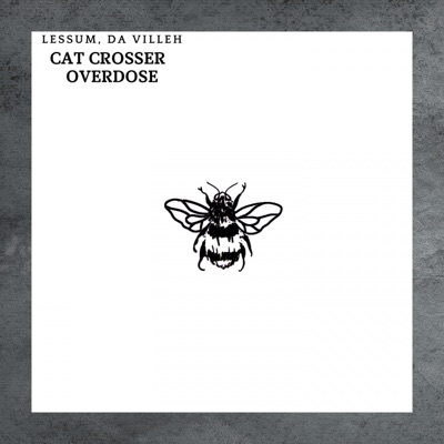 Cat Crosser Overdose - Single