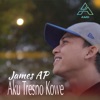 Aku Tresno Kowe - Single