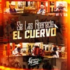 Se Les Aparecio El Cuervo