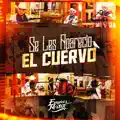 Se Les Aparecio El Cuervo