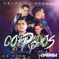 Corridos Pp (En Vivo) - Single - Grupo La Ofensa