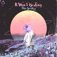 It Won't Be Long - Single - Polo Smallzz