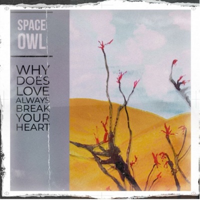 Why Does Love Always Break Your Heart (feat. Bob Lovelace, John Ewing & David Appelbaum) - Single